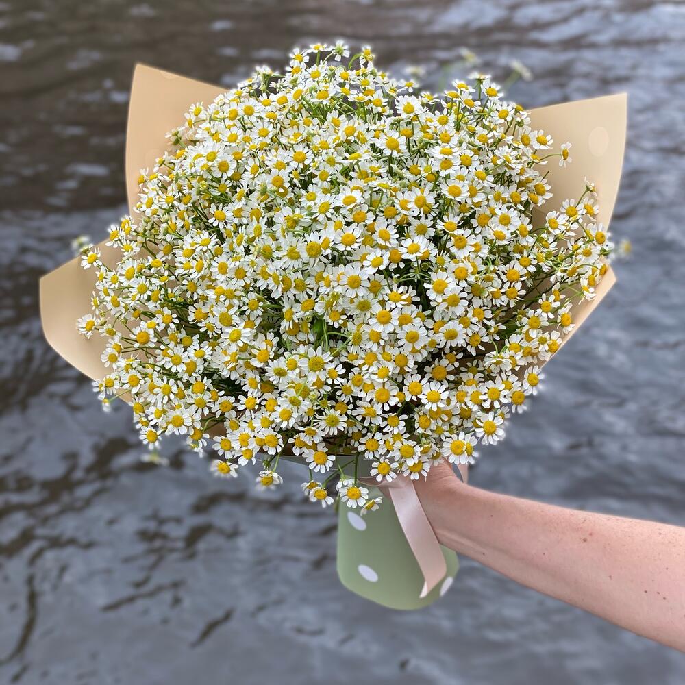 Букет из нежной матрикарии