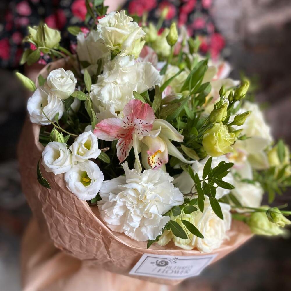 цимбидиума цимбидиума