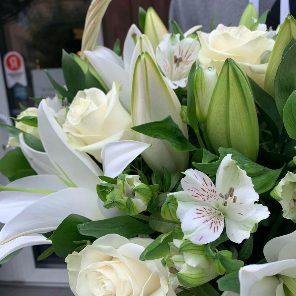 белыми розами белыми розами