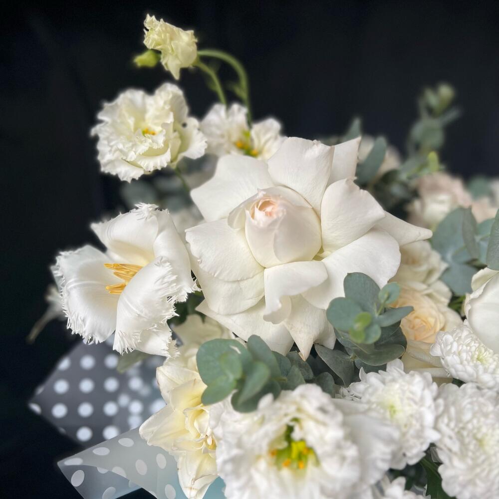 тюльпанами и антириниуми тюльпанами и антириниуми