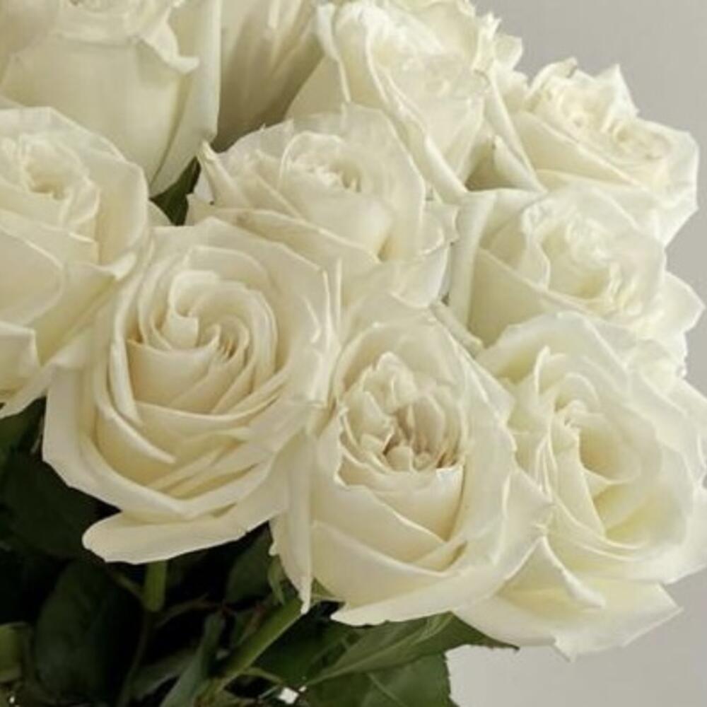 Роза белая пионовидная 11 шт Роза белая пионовидная 11 шт