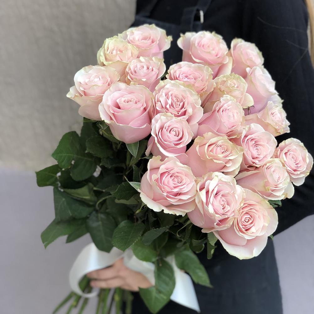 Роза Пинк Мондиаль